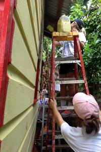 Painting a house