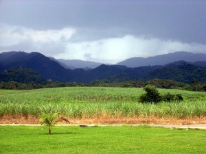Jamaica 