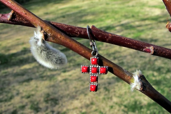 Earring on Pussywillow